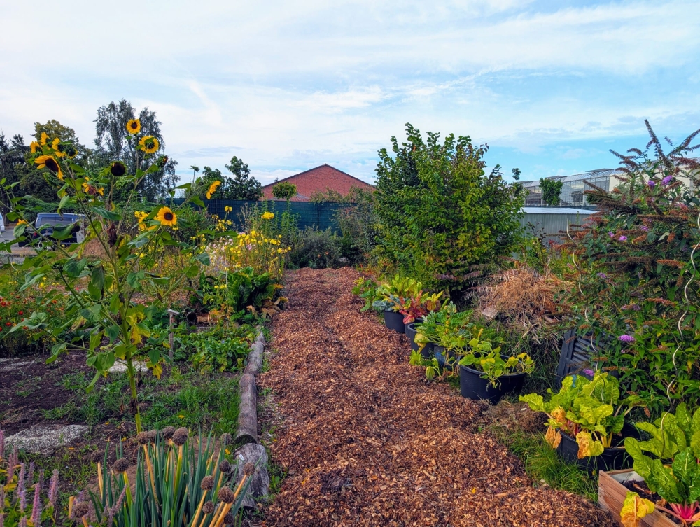 <br />
<b>Warning</b>:  Undefined property: stdClass::$title in <b>/var/www/vhosts/raum-zum-wachsen-ev.de/httpdocs/test/modules/mod_uk_slideshow/tmpl/default - Kopie.php</b> on line <b>24</b><br />
