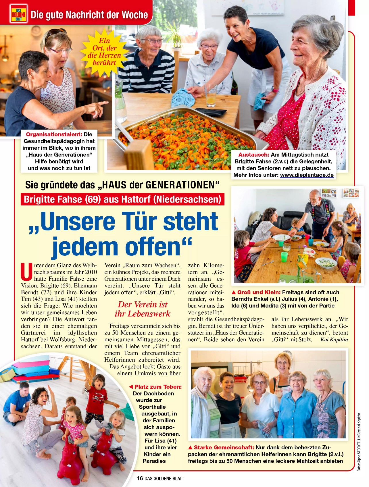 Unsere Plantage im Goldenen Blatt 